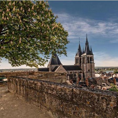 Appartement Coeur De Blois /Heart Of The City Exteriör bild