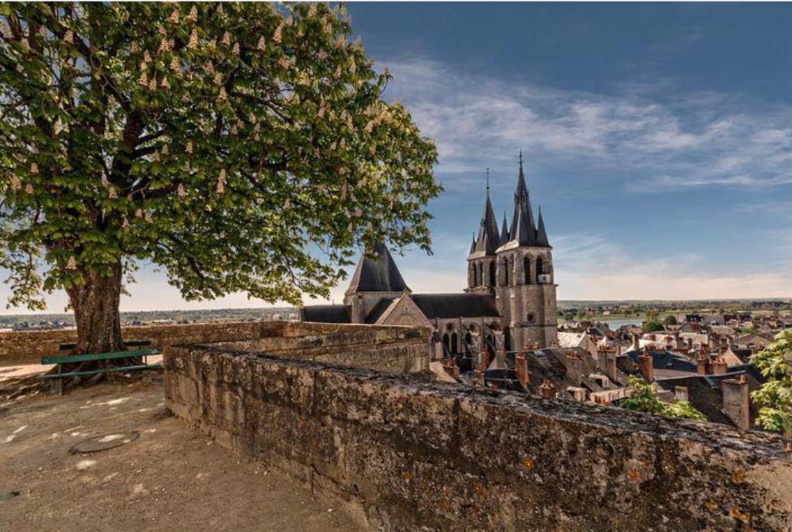 Appartement Coeur De Blois /Heart Of The City Exteriör bild